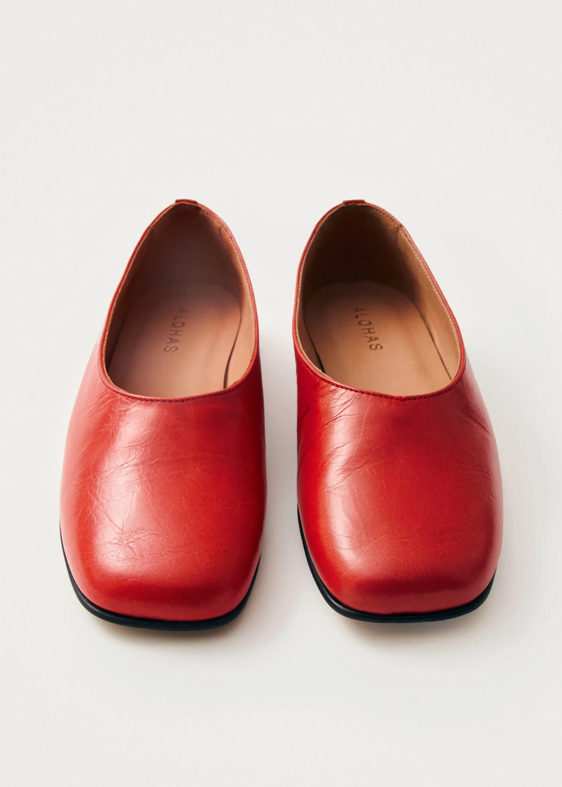 Edie Leather Ballet Flats|ALOHAS Outlet